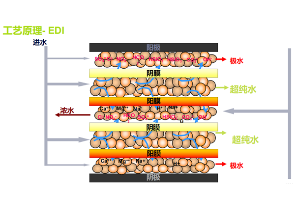 EDI超純水系統(tǒng)